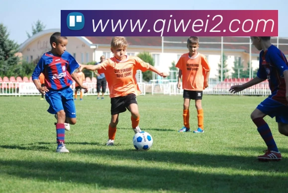 世界杯平台官网登录平台生态图