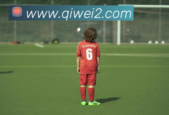 世界杯平台官网登录APP 封面图